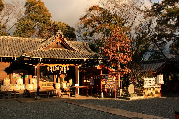 fransisca gallery